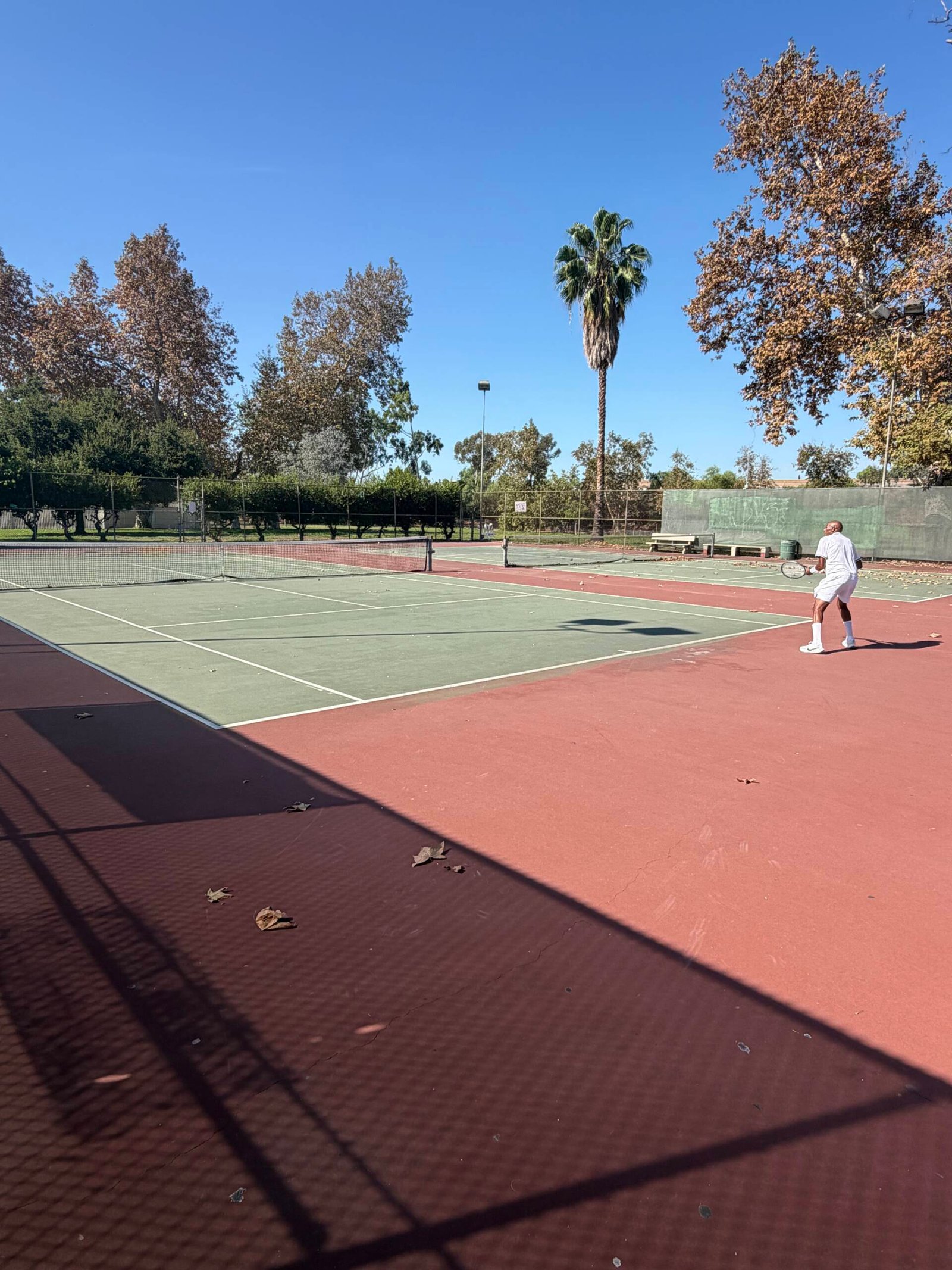 Tennis player preparing for a shot on an outdoor hard court surrounded by trees in Los Angeles